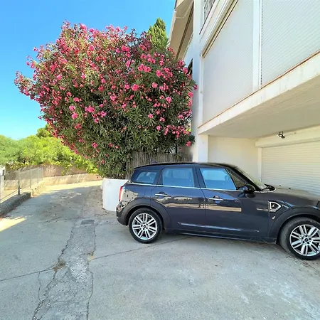In Nature Apartment Roses